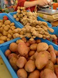新鮮有機農產品