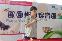 介紹近赭穀弄蝶