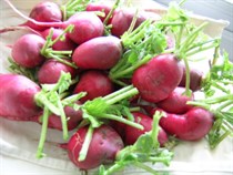 Organic Raddish