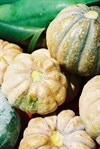 Organic Farmers