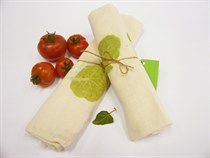 Natural Plant Dyeing