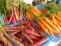 Organic Farm Produces