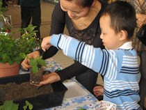 Organic planting workshop
