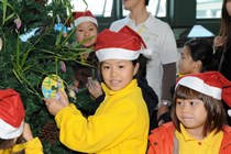 LOHAS Green Christmas