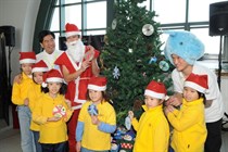 LOHAS Green Christmas