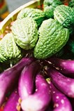 Fresh Bitter Cucumber & Eggplant