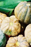 Organic Pumpkin