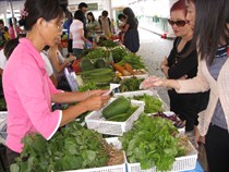 Organic Vegetables