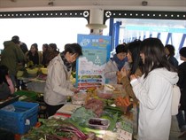 Organic Farmers